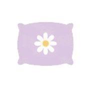 029