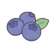 010