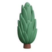 006