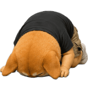 015