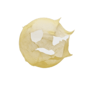 017