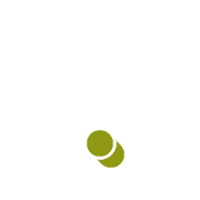 246