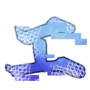 004