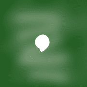 029