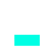 250