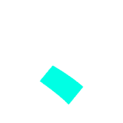 256