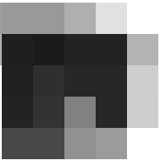 031