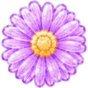 010