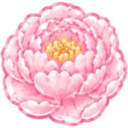 017