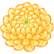 019