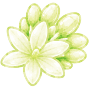 032
