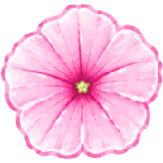 035