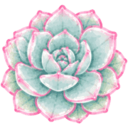 038