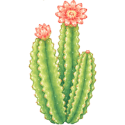 002