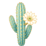 003