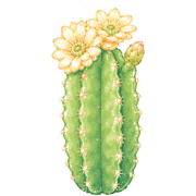 004