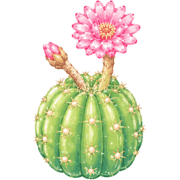 005