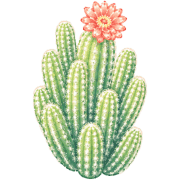 006