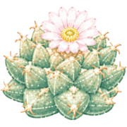 014