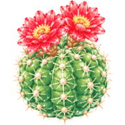 020