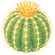 027