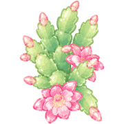 036