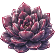 002