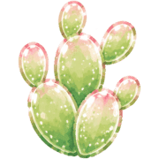009