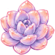 017