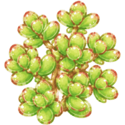 024
