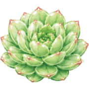 031