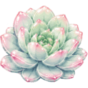 032