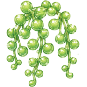 038