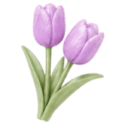 038