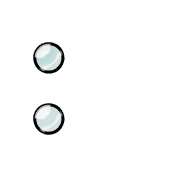 244