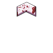 231