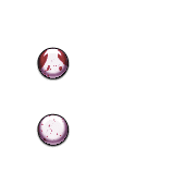 244