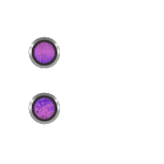 244
