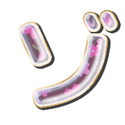 145