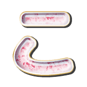 010