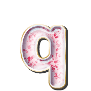 204