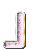 255