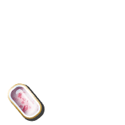 256