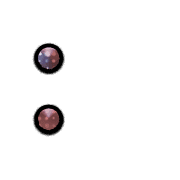 244