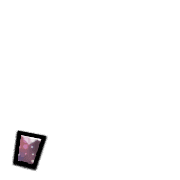 245