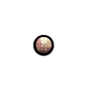 253