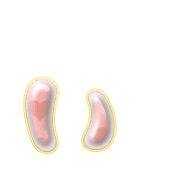 048