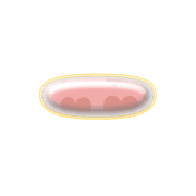 251
