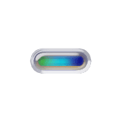 251