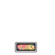 250